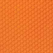 color_be161s