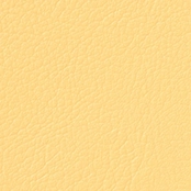 color_yl051n