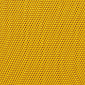 マスタードイエロー