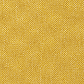 マスタードイエロー