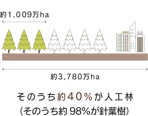 そのうちの約40％は人工林（そのうち約98％が針葉樹）