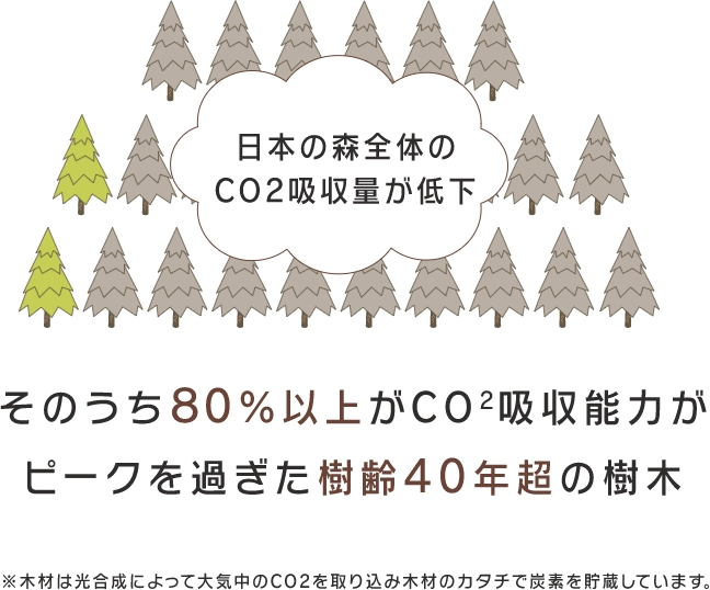 そのうち80％以上がCO2吸収能力がピークを過ぎた樹齢40年超の樹木