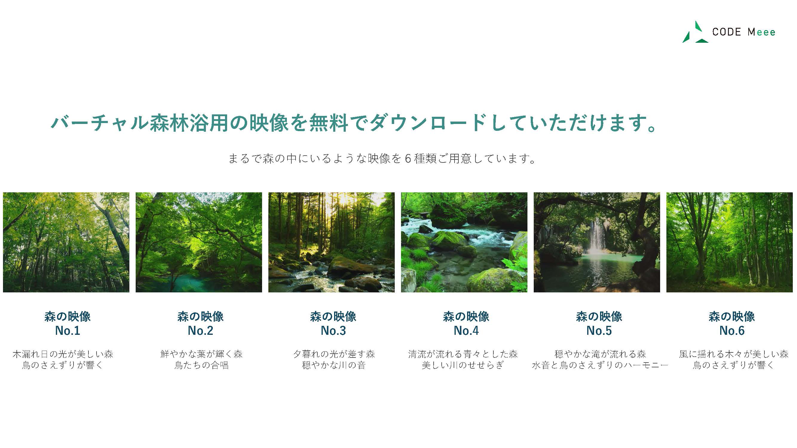 wp_forest_pdf_02